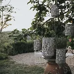 Nel Chianti Con Piscina * Castellina in Chianti